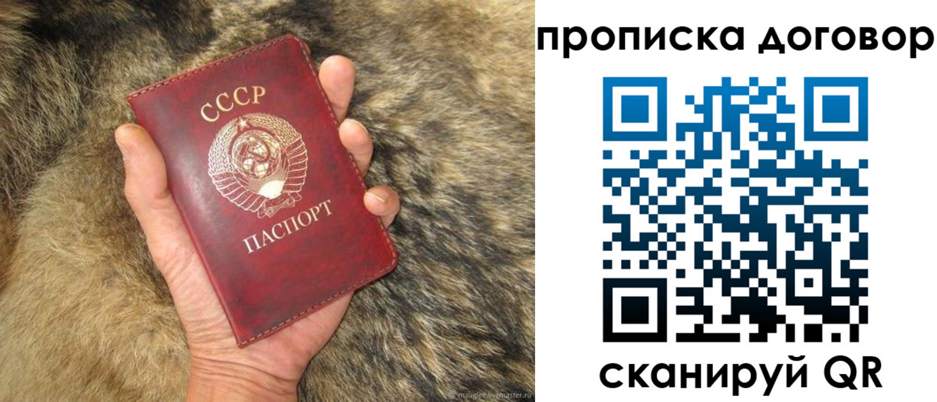 прописка регистрация в Лесозаводске